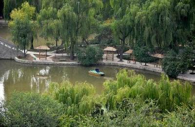 建设美丽家园 打造花园城市