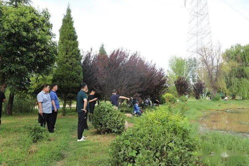 市园林绿化中心对做好新一轮强降雨应对工作进行实地检查